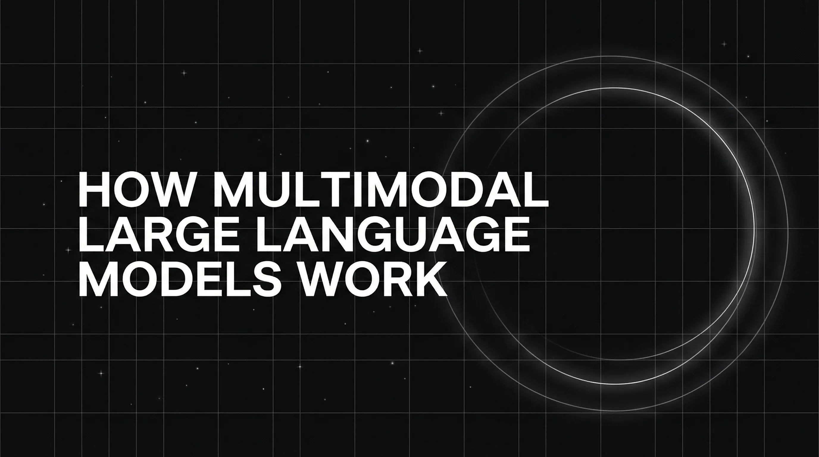 Exploring How Multimodal Large Language Models Work